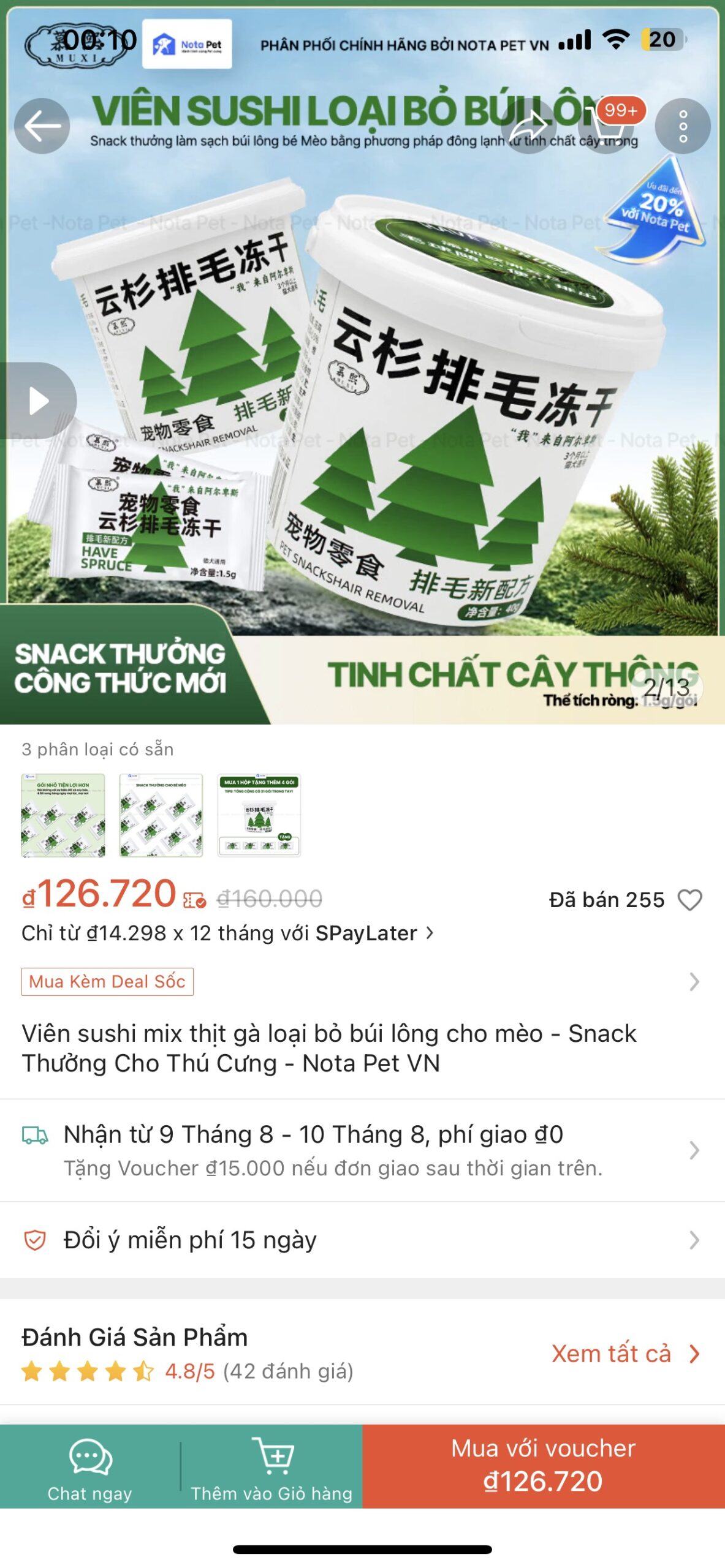 Chấm dứt nỗi lo búi lông cho mèo tại TP.HCM: Hướng dẫn toàn diện cho chủ nuôi